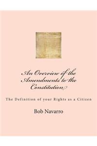 Overview of the Amendments to the Constitution