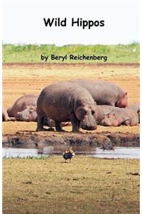 Wild Hippos