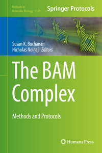 Bam Complex