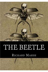 Beetle