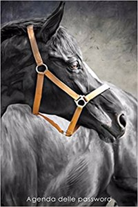Agenda delle password