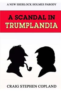 Scandal in Trumplandia - Large Print