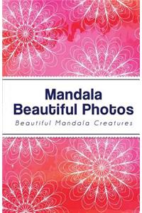 Password Mandala Beautiful Photos