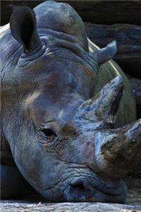 Rhinocereos Notebook