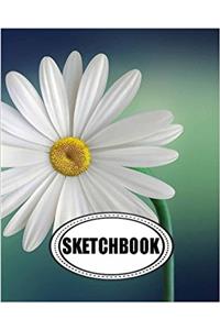 Sketchbook