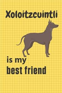 Xoloitzcuintli is my best friend
