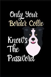 Only Your Border Collie Knows The Password