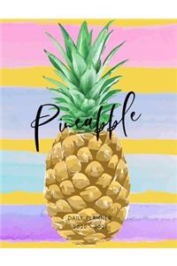 2020 2021 15 Months Pineapple Fruits Daily Planner