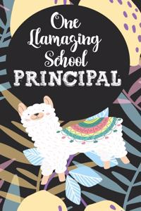 One llamazing School Principal