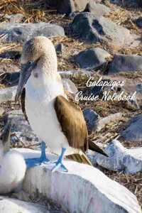 Galapagos Cruise Notebook