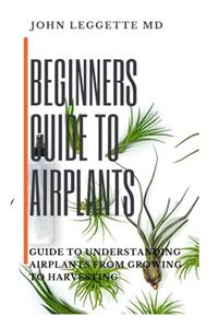 Beginners Guide to Air Plants