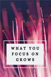 What You Focus on Grows