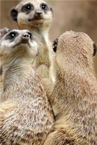 Meerkat Notebook - Journal Gift for Cute Animal Lovers