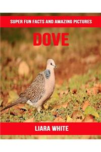 Dove