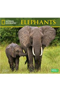 National Geographic Elephants 2019 Calendar