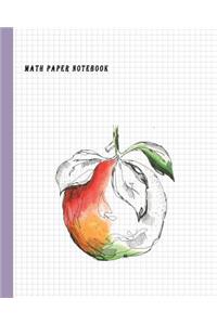 Math Paper Notebook