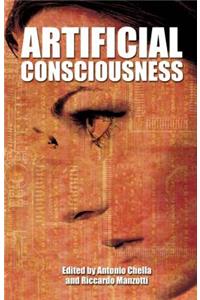 Artificial Consciousness