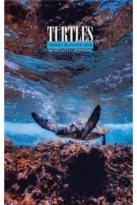 Turtles Weekly Planner 2018