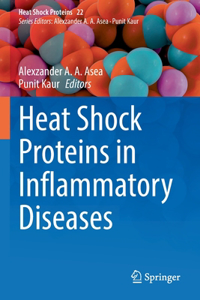 Heat Shock Proteins in Inflammatory Diseases