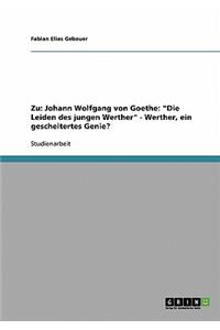 Zu Johann Wolfgang Von Goethe Die Leiden Des Jungen Werther. Werther, Ein Gescheitertes Genie?