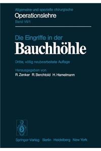 Die Eingriffe in Der Bauchhöhle