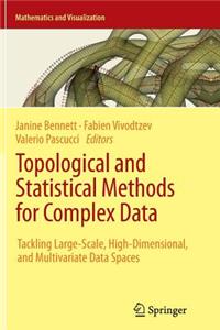 Topological and Statistical Methods for Complex Data
