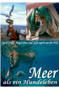 Meer als ein Hundeleben