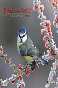 BIRDS IN OUR GARDEN 2020