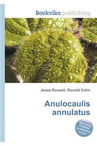 Anulocaulis Annulatus