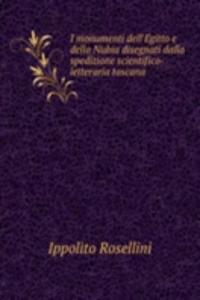 I monumenti dell'Egitto e della Nubia disegnati dalla spedizione scientifico-letteraria toscana .