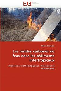 Les Résidus Carbonés de Feux Dans Les Sédiments Intertropicaux