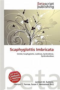 Scaphyglottis Imbricata