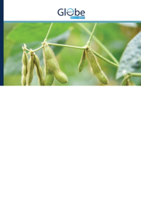 Rainfall variability and risks of droughts during soybean cultivation