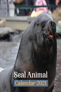 Seal Animal Calendar 2021