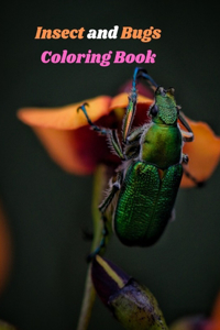 Insect and Bugs Coloring Book