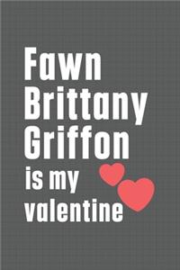 Fawn Brittany Griffon is my valentine