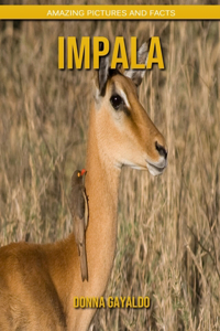 Impala