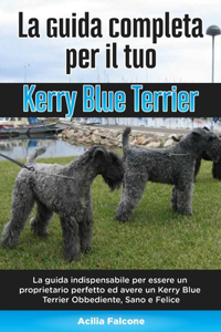 Guida Completa per Il Tuo Kerry Blue Terrier