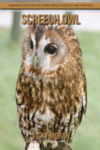 Screech Owl