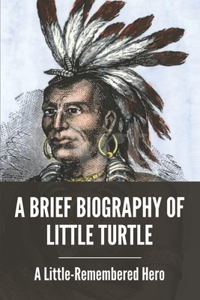 A Brief Biography Of Little Turtle