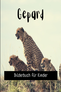 Gepard
