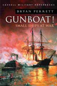 Gunboat!: Small Ships At War (Cassell Military Paperba) Paperback â€“ 9 August 2001