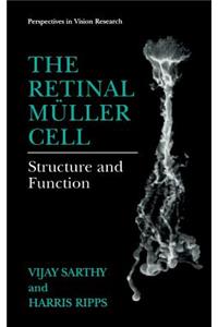 Retinal Müller Cell