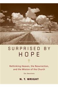 Surprised by Hope Bible Study Participant's Guide