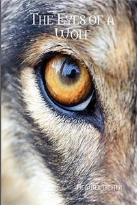 Eyes of a Wolf