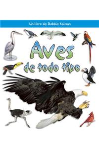 Aves de Todo Tipo (Birds of All Kinds)