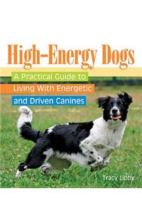 High-Energy Dogs