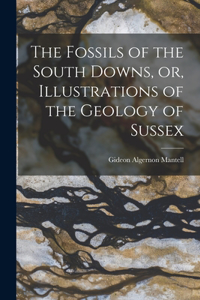 Fossils of the South Downs, or, Illustrations of the Geology of Sussex