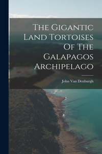 Gigantic Land Tortoises Of The Galapagos Archipelago