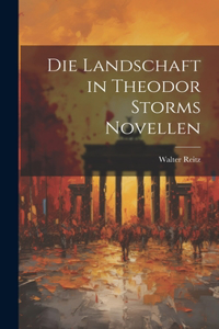 Landschaft in Theodor Storms Novellen